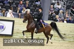 22BUCK_06640 proof