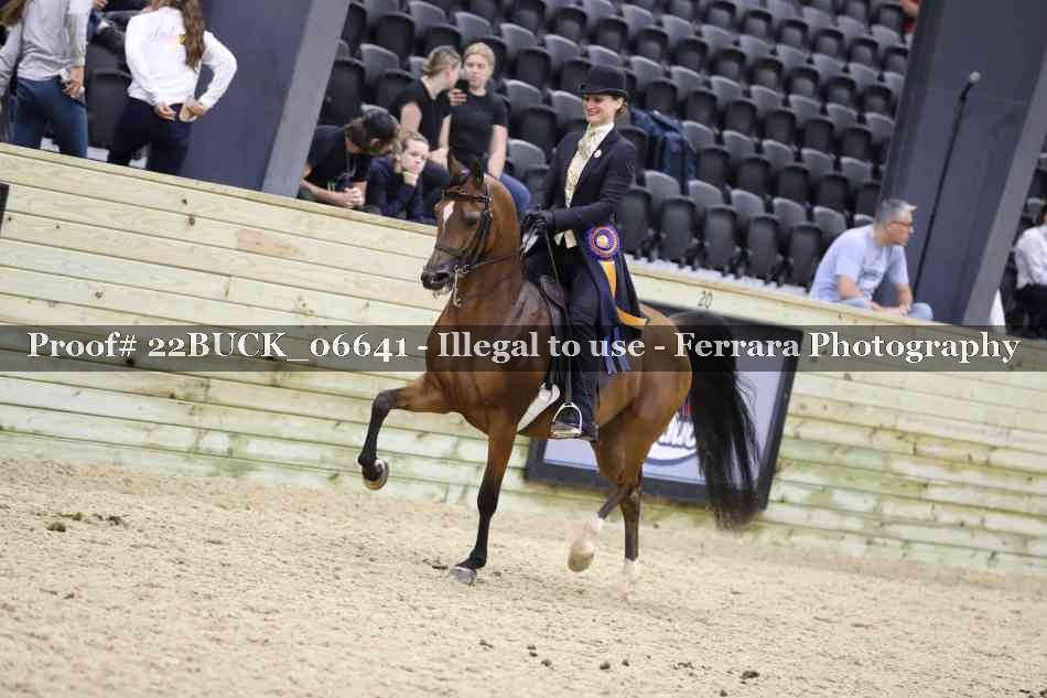 Proof 22BUCK_06641