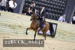 22BUCK_06641 proof