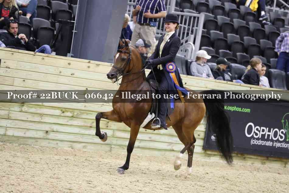 Proof 22BUCK_06642