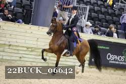 22BUCK_06642 proof