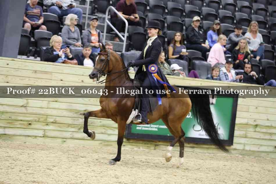 Proof 22BUCK_06643