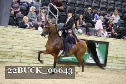 22BUCK_06643 proof