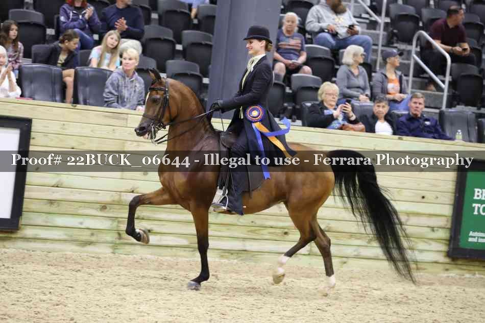 Proof 22BUCK_06644