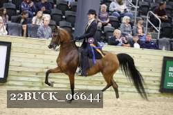 22BUCK_06644 proof