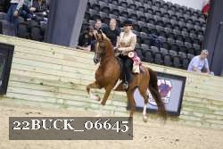 22BUCK_06645 proof