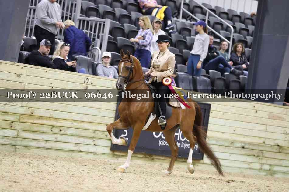 Proof 22BUCK_06646