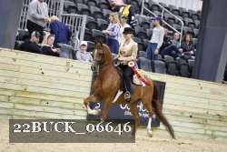 22BUCK_06646 proof