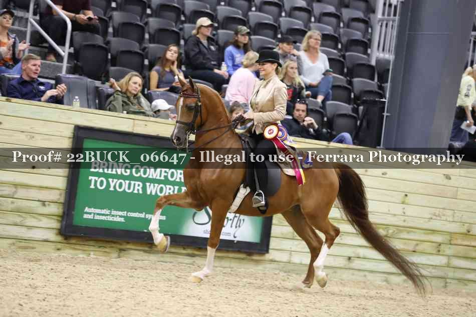 Proof 22BUCK_06647