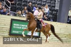 22BUCK_06647 proof