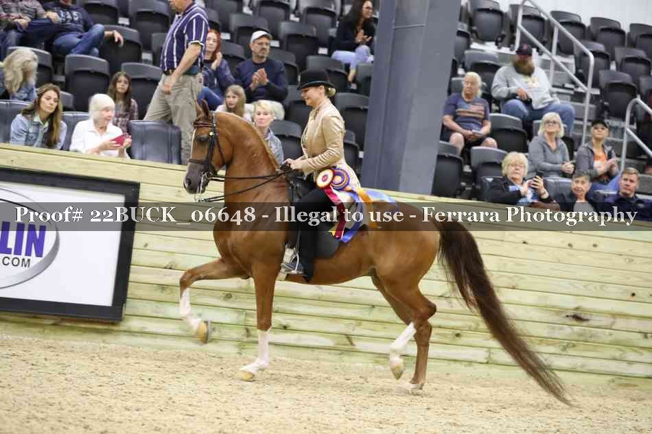 Proof 22BUCK_06648