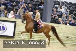 22BUCK_06648 proof