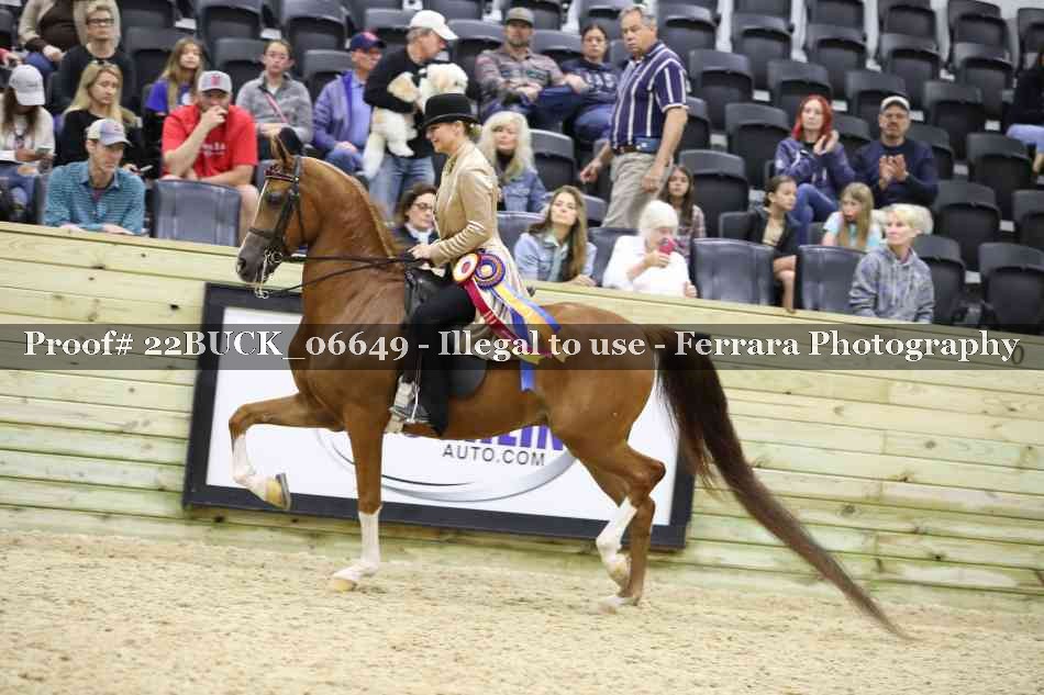 Proof 22BUCK_06649