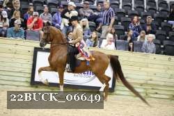 22BUCK_06649 proof