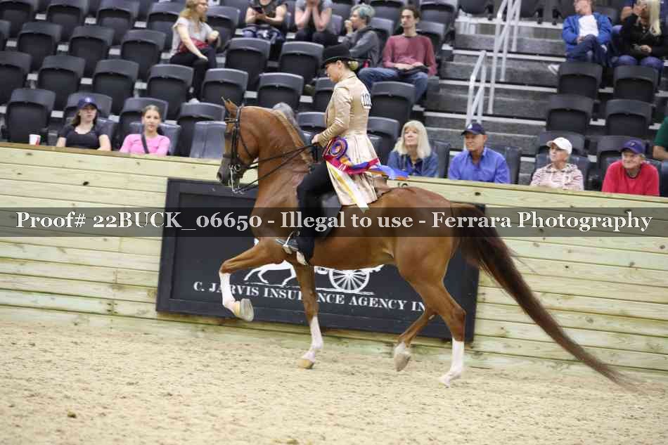 Proof 22BUCK_06650