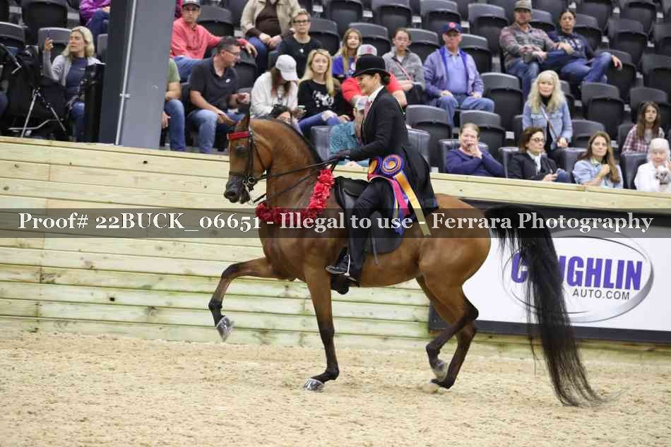 Proof 22BUCK_06651