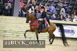 22BUCK_06651 proof