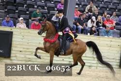 22BUCK_06652 proof