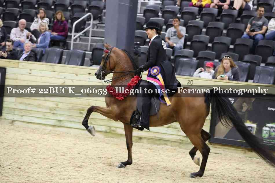 Proof 22BUCK_06653