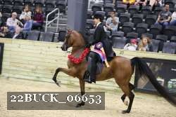 22BUCK_06653 proof