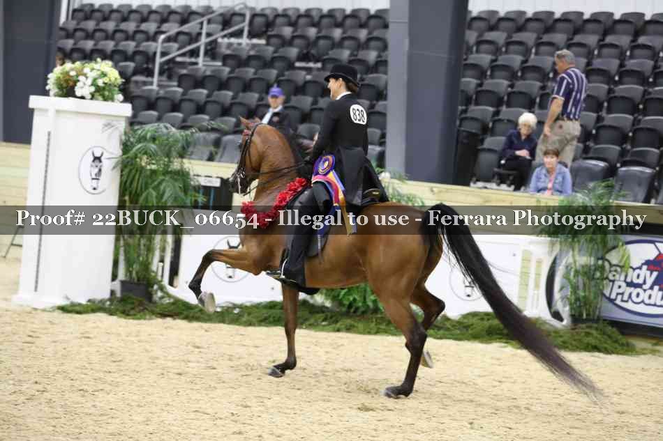 Proof 22BUCK_06654