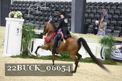 22BUCK_06654 proof