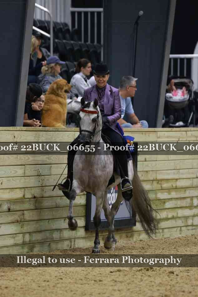 Proof 22BUCK_06655