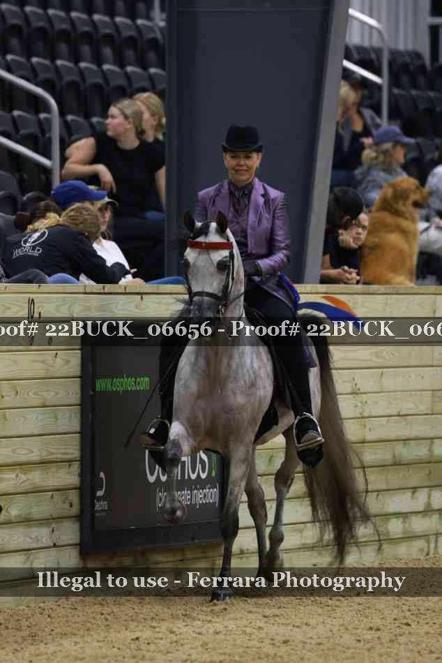 Proof 22BUCK_06656