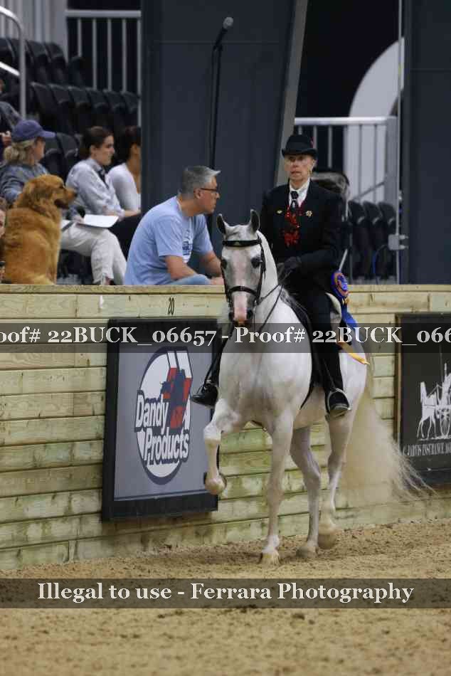 Proof 22BUCK_06657