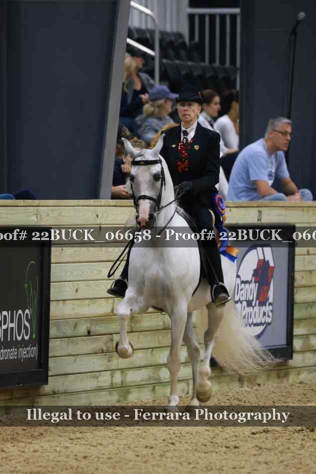 Proof 22BUCK_06658