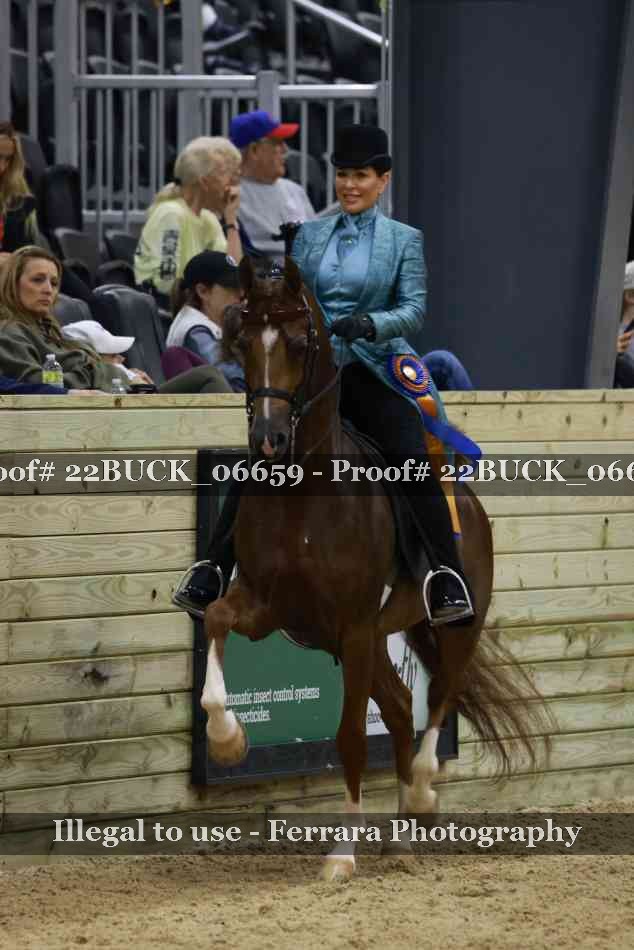Proof 22BUCK_06659