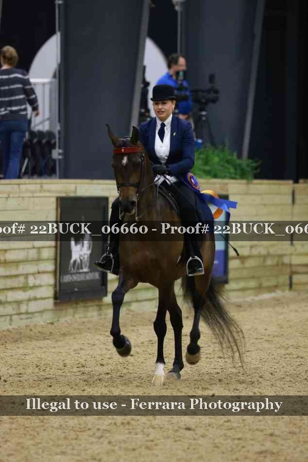 Proof 22BUCK_06660