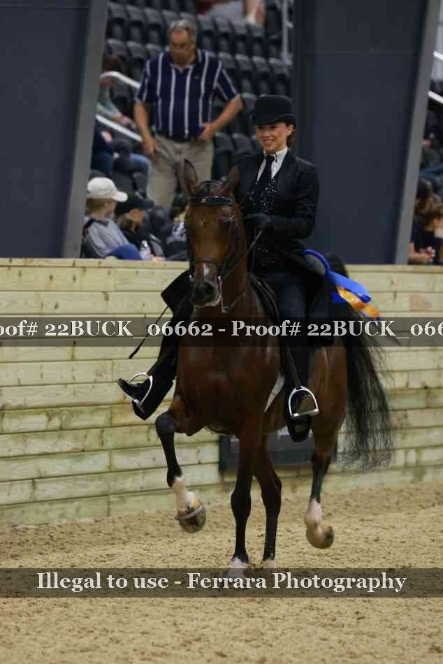 Proof 22BUCK_06662