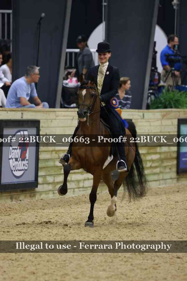 Proof 22BUCK_06663