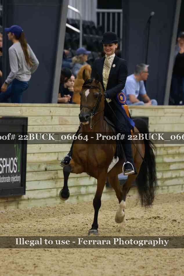 Proof 22BUCK_06664