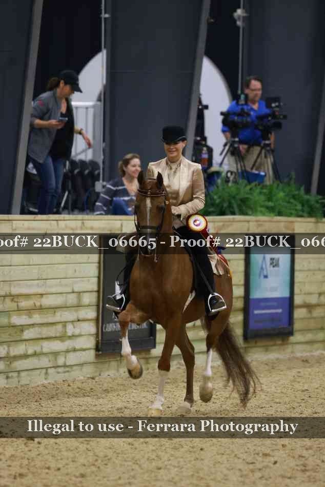 Proof 22BUCK_06665