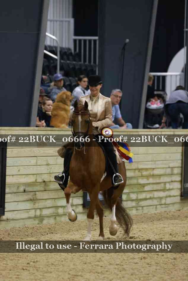 Proof 22BUCK_06666