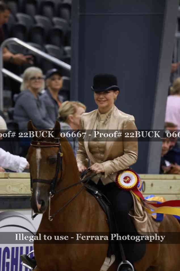 Proof 22BUCK_06667