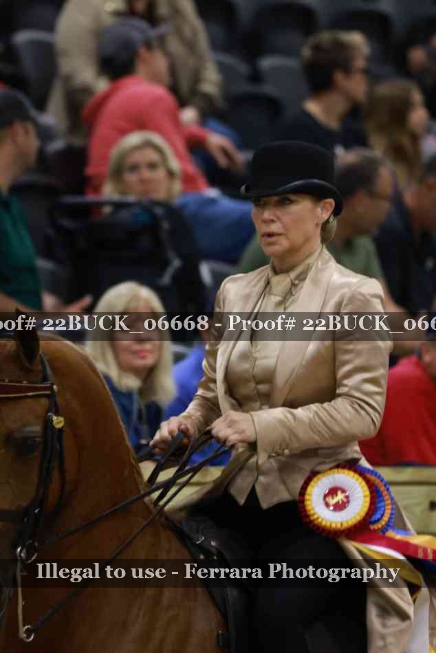 Proof 22BUCK_06668