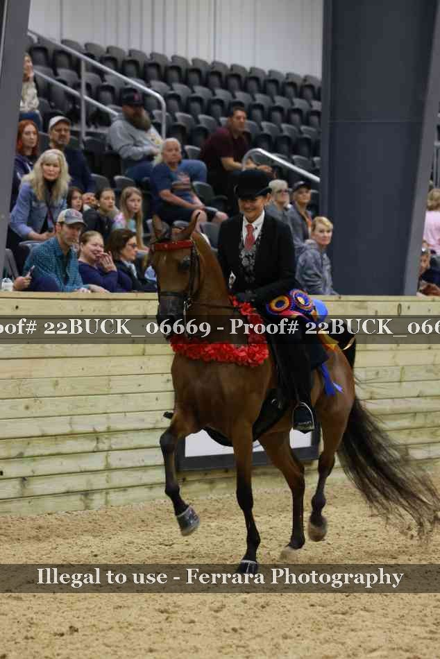 Proof 22BUCK_06669