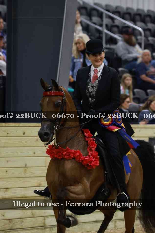 Proof 22BUCK_06670