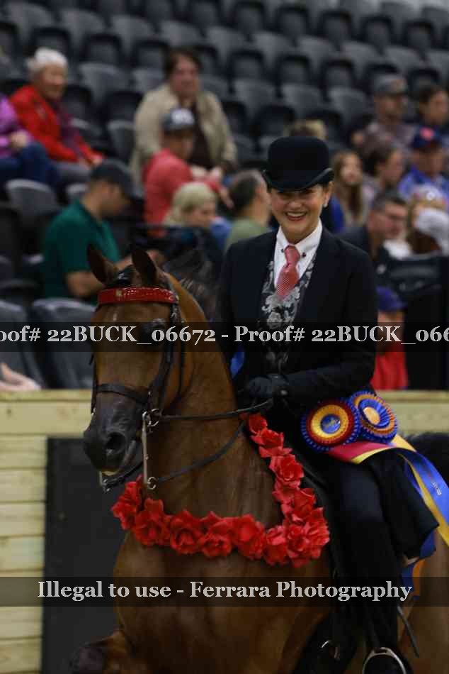 Proof 22BUCK_06672
