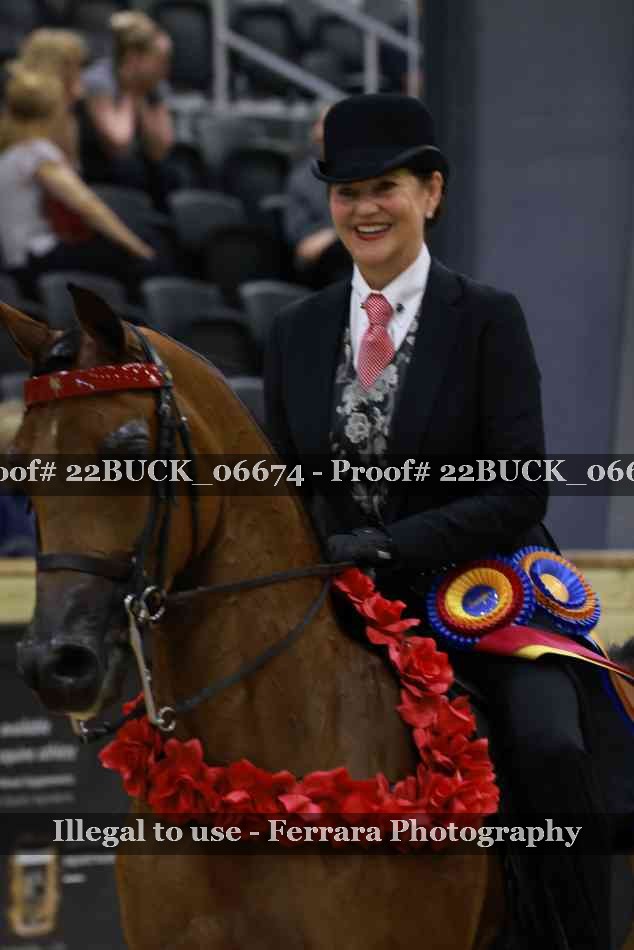 Proof 22BUCK_06674