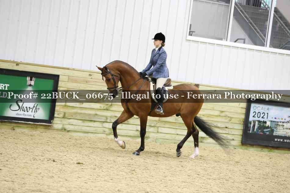 Proof 22BUCK_06675