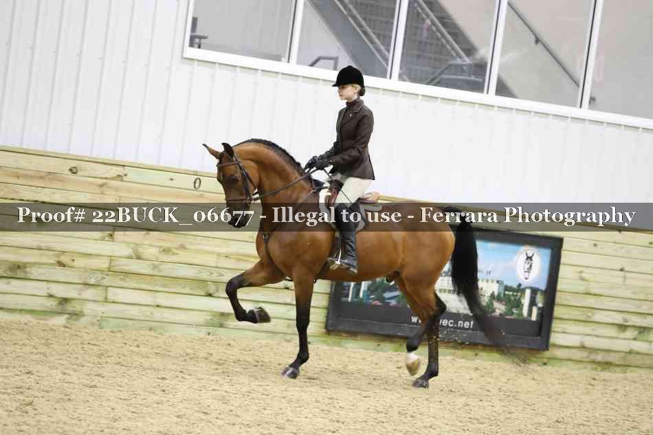 Proof 22BUCK_06677