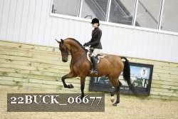 22BUCK_06677 proof