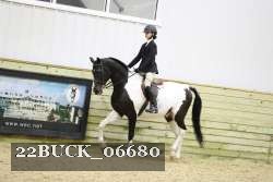22BUCK_06680 proof