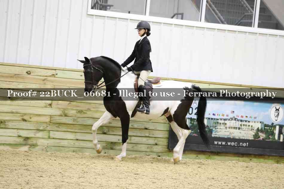 Proof 22BUCK_06681