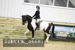 22BUCK_06681 proof
