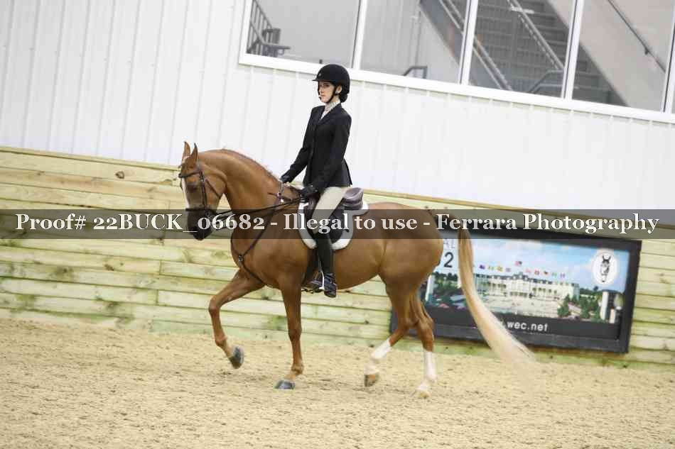 Proof 22BUCK_06682
